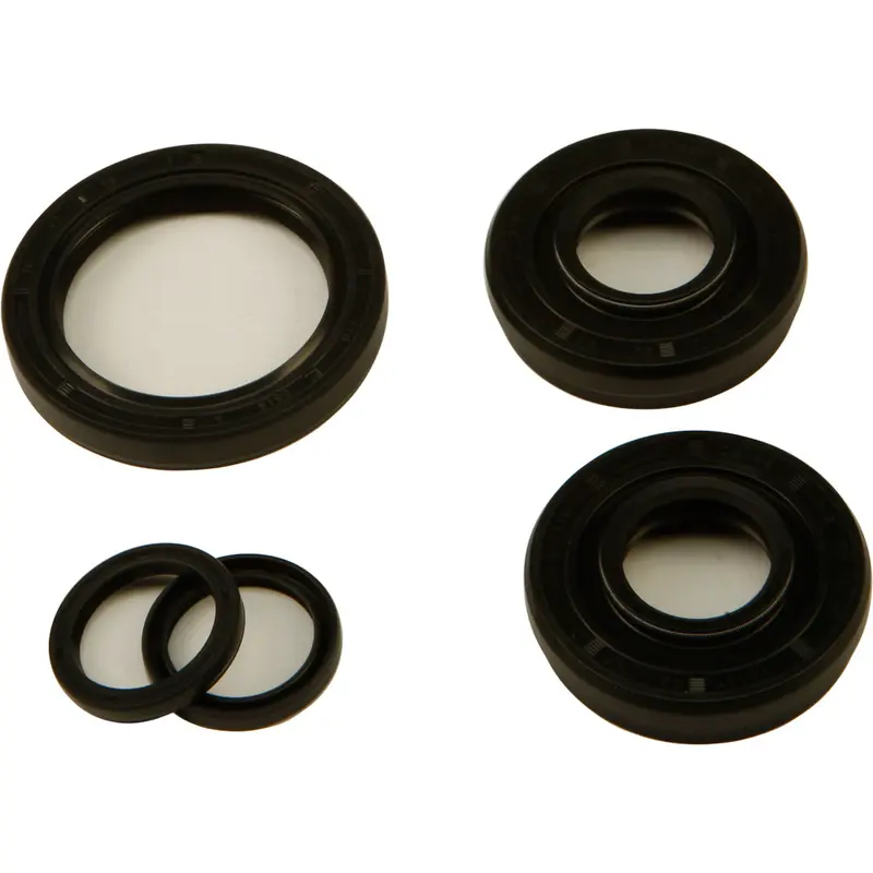ALL BALLS DIFFERENTIAL SEAL KIT