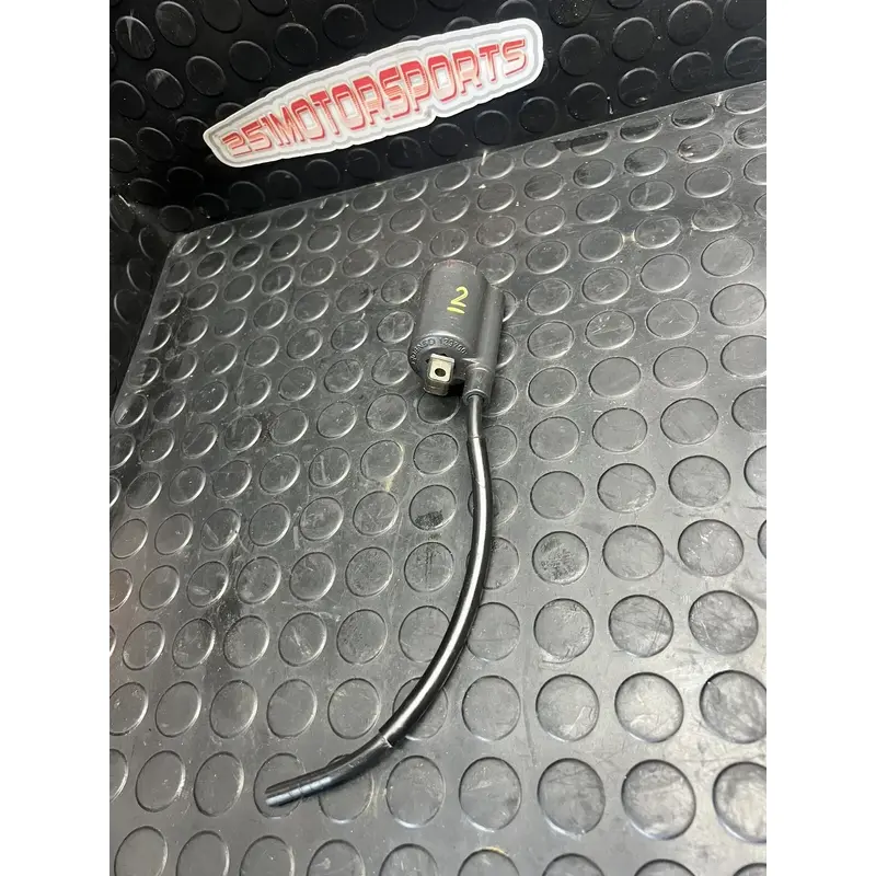06-25 YAMAHA RAPTOR  700 Ignition Coil DensoFAST SHIP
