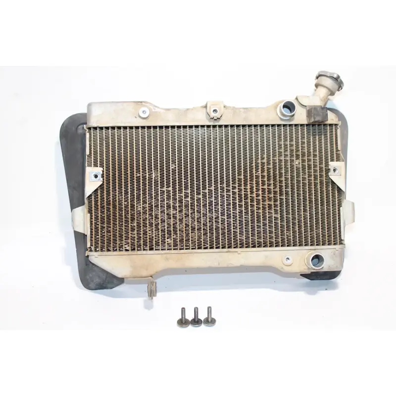 2006-2009 Suzuki Quadracer 450 Ltr450 Radiator Cooler OEM Clean!