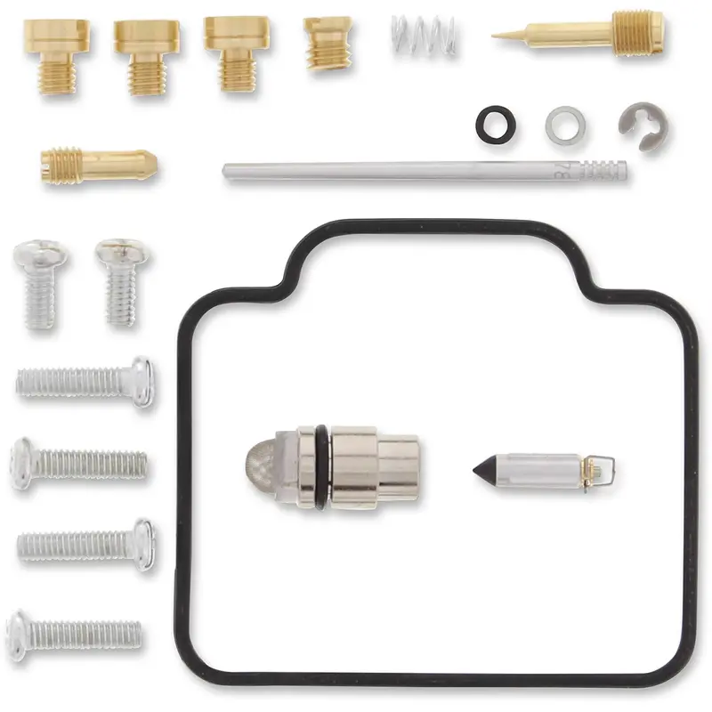 Carburetor Repair Kit - Polaris