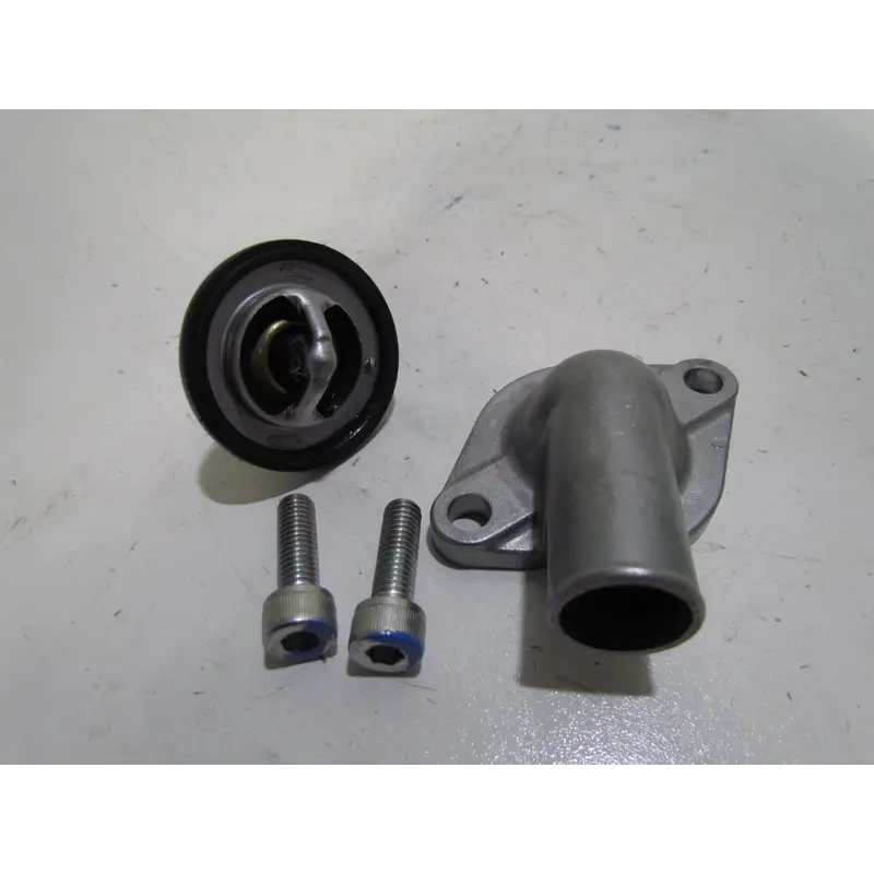 Suzuki King Quad LTA 750 Thermostat Cover 2017 #4