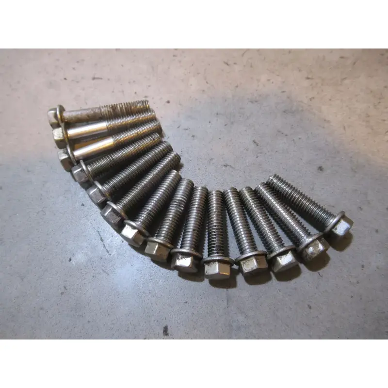 Suzuki LTR 450 Engine Screws 2008 #6