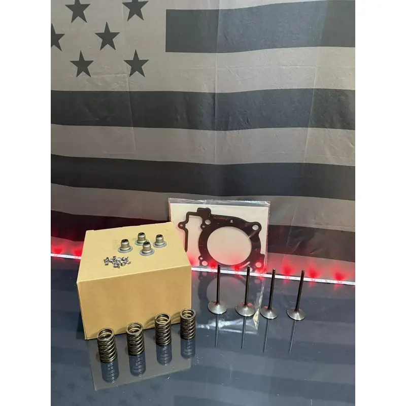 17-19 Polaris Ace 570 Valves / Valve Springs / Keepers/ Seals