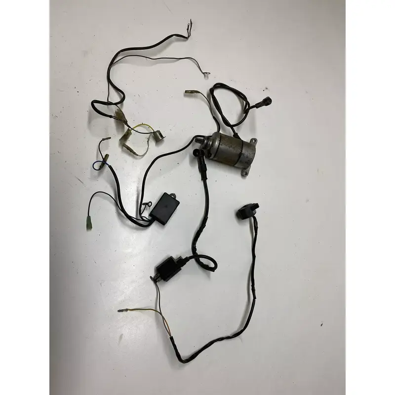 1983 83 SUZUKI QUADRUNNER 125 LT125 D WORKING Wiring Harness Loom ECU CDI