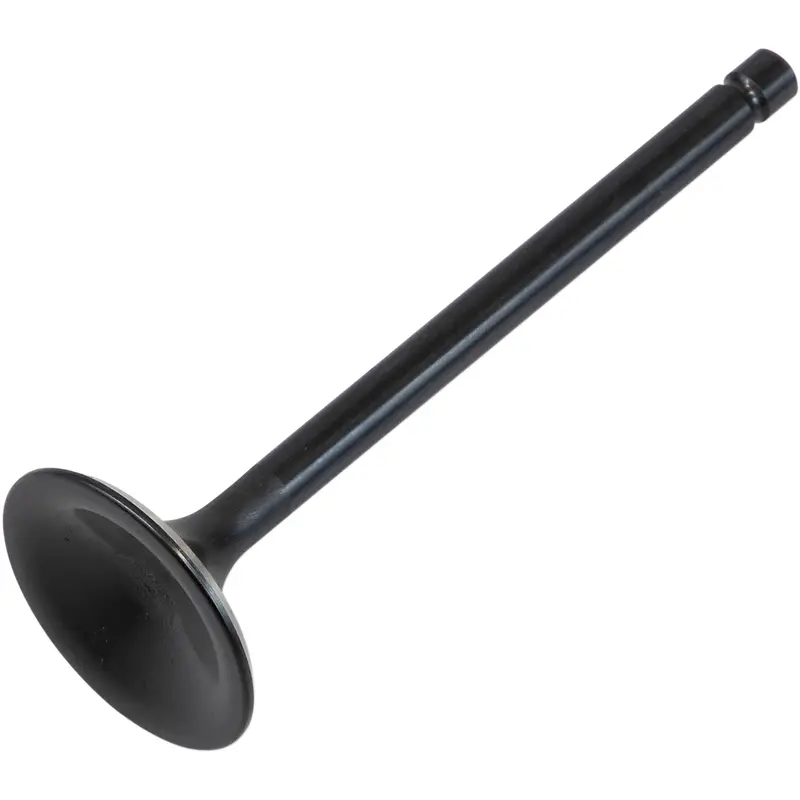Black Diamond Engine Valve