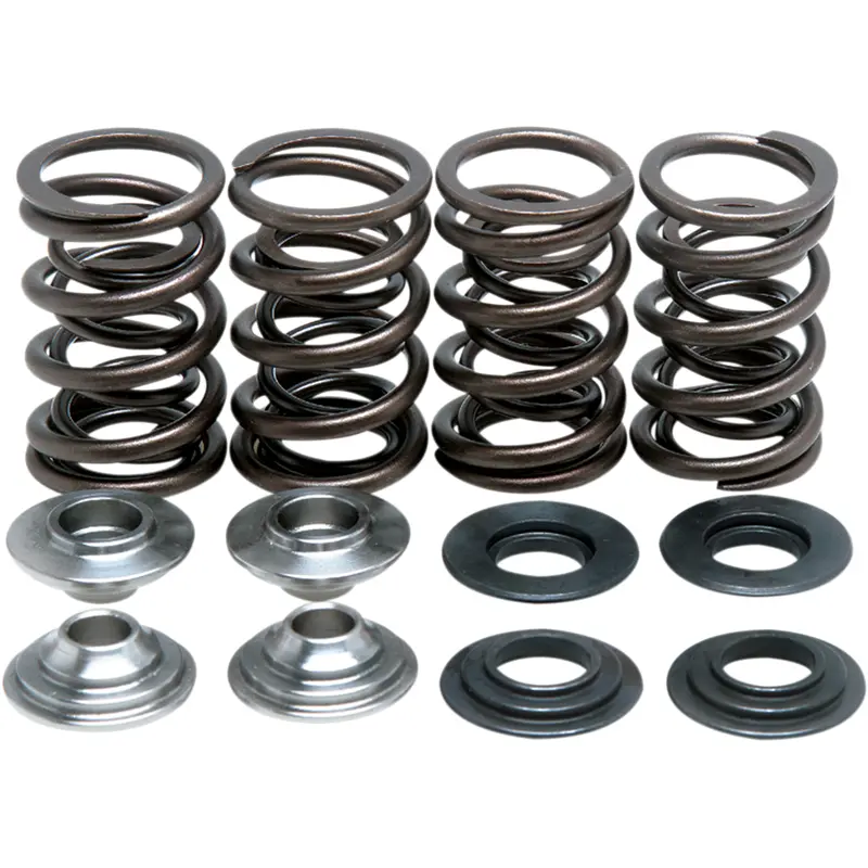 Valve Spring Kit