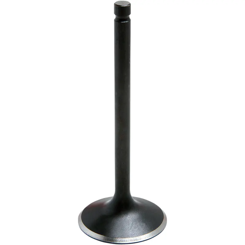 Black Diamond Engine Valve