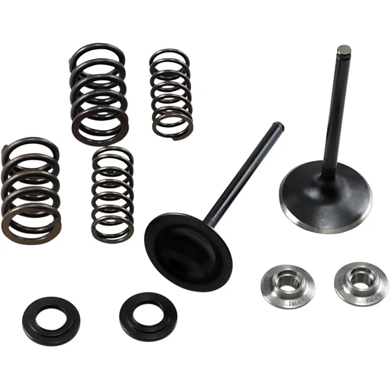 Stainless Steel Conversion Valve and Spring Kit