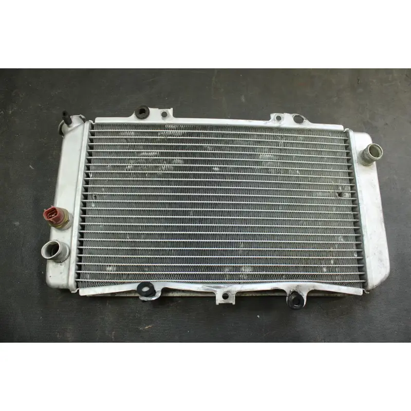 2004 Yamaha Grizzly 660 OEM Radiator  B4462