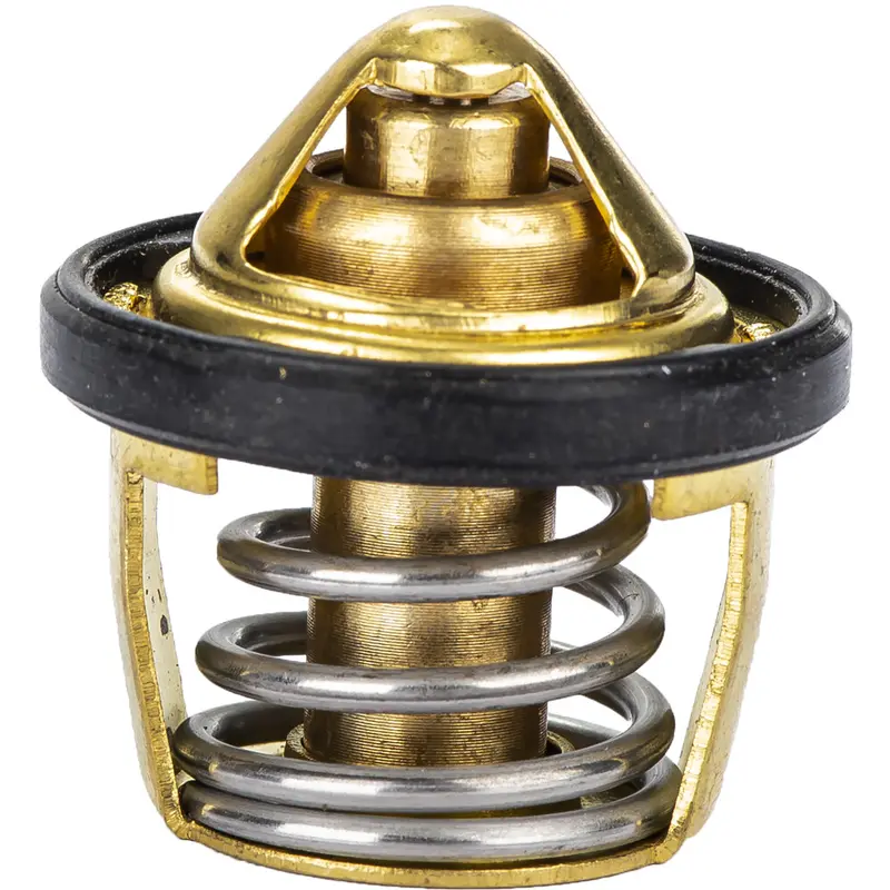 Replacement Thermostat - Polaris