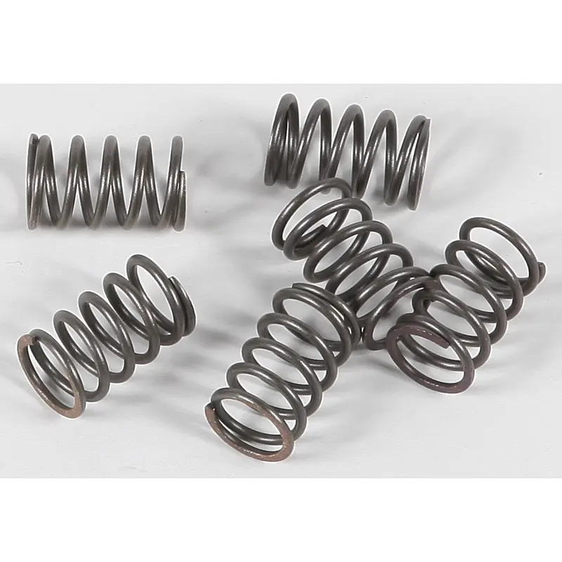 EBC CLUTCH SPRINGS CSK18
