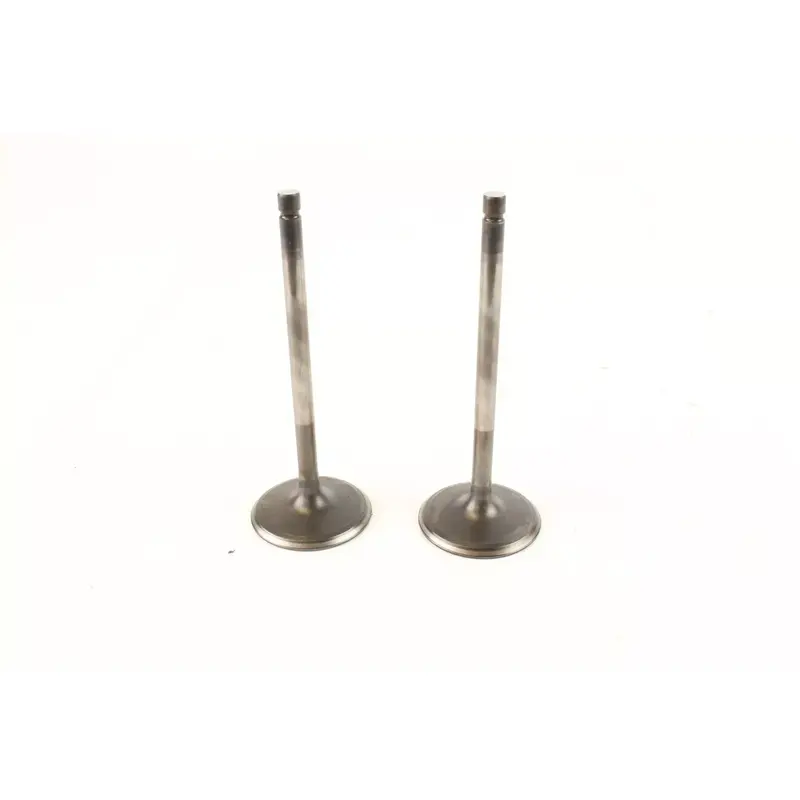 2019 Yamaha Raptor 700 Yfm700 Intake Valve c7248