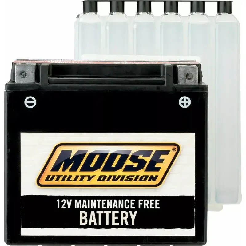 NEW MOOSE RACING 2113-0241 AGM Maintenance-Free Battery Honda	Rincon