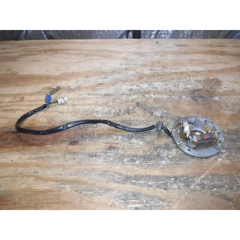 1995 Yz250 Stator Generator Charge Coil Electrical Ignition Magneto