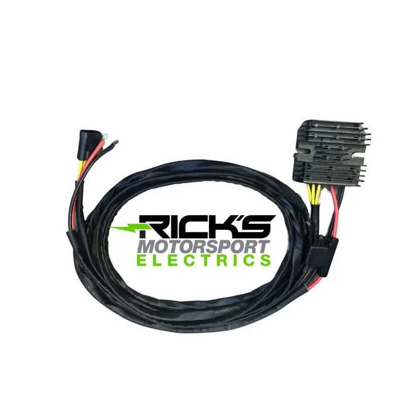 Ricks Hot Shot Series Rectifier-Regulator 10-582H