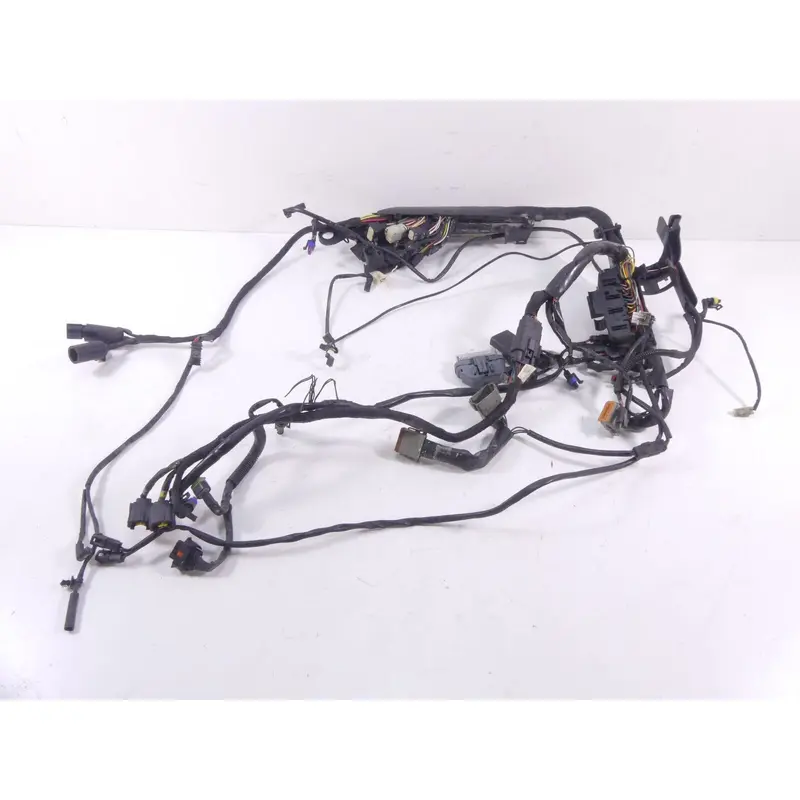 2009 Harley Sportster XR1200 Main & Engine Wiring Harness -Read 70225-08 70163-0