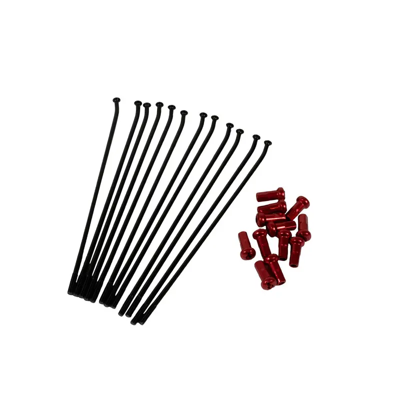 Beta - Kite Spoke Kit, 21", Silver