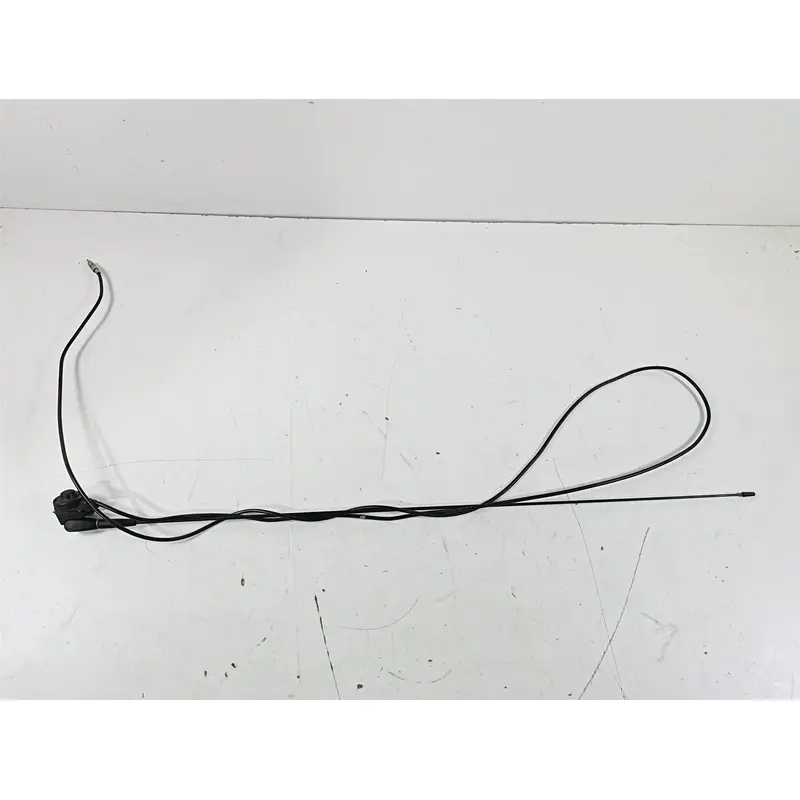 2019 Indian Chieftain Limited Radio Audio Antenna 4012213