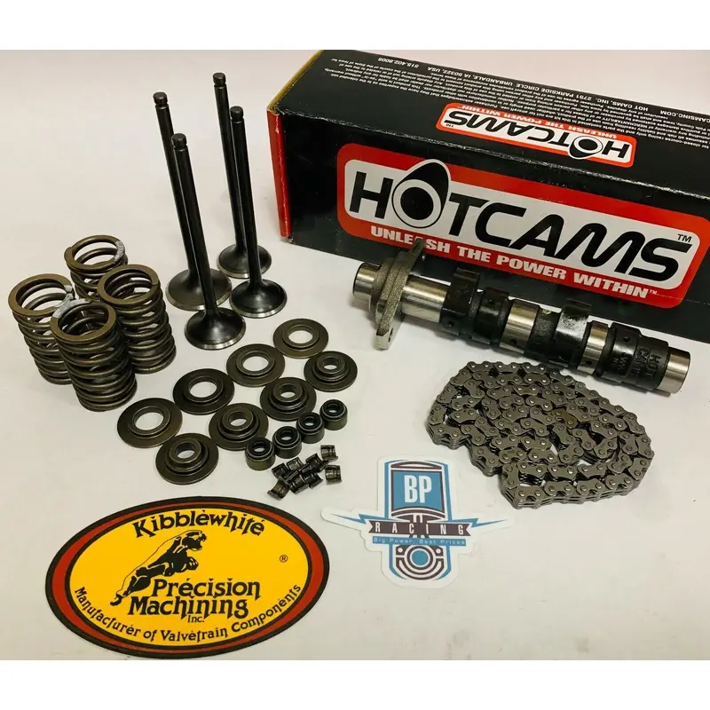 TRX400EX TRX 400EX Stage 3 Hotcam Kibblewhite Valves Springs Chain Head Rebuild