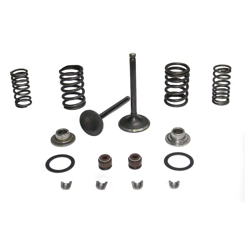 Valve Kit 70cc/110cc
