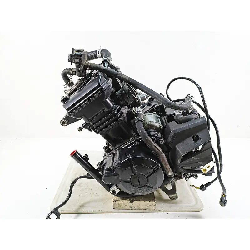 2016 Kawasaki Ninja EX300 Great Running Engine Motor  -Video 14001-0705