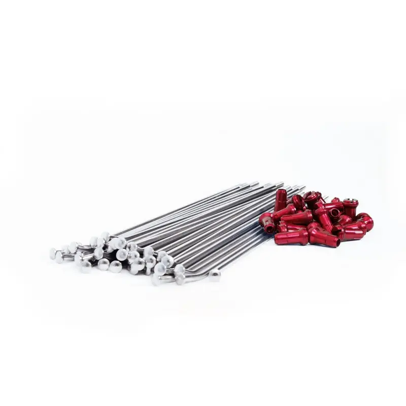 Beta - Dubya 6-Pack Spoke/Nipple, 18" Rear, Red