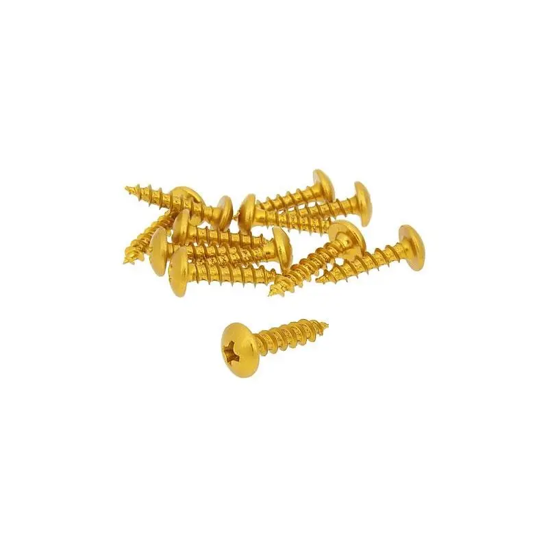 Kpskruvar Skruvkit Olika storlekar 12-pack Guld