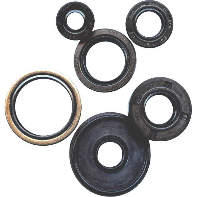 WINDEROSA OIL SEAL SET 822233