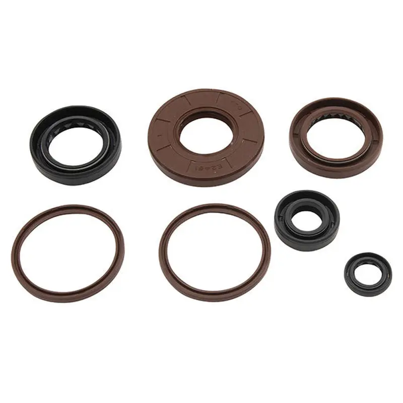 VERTEX TOP END GASKET SET (822384)