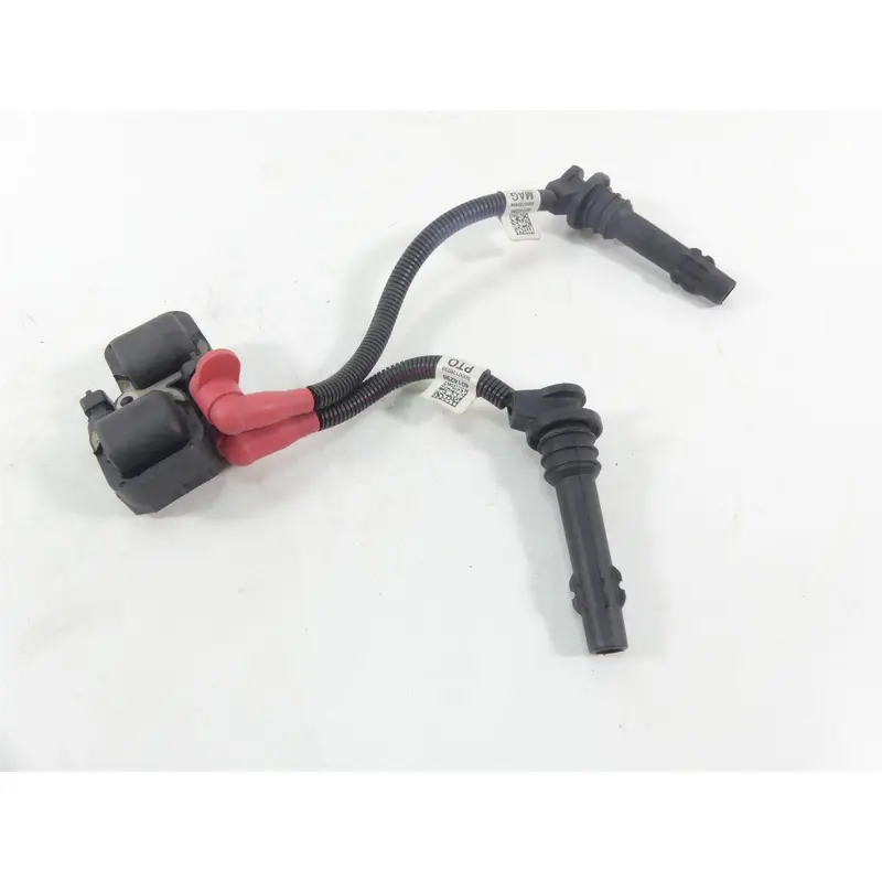 2018 Polaris RZR1000 RS1 Ignition Coils Coil Wires & Plugs 4010425 2876049