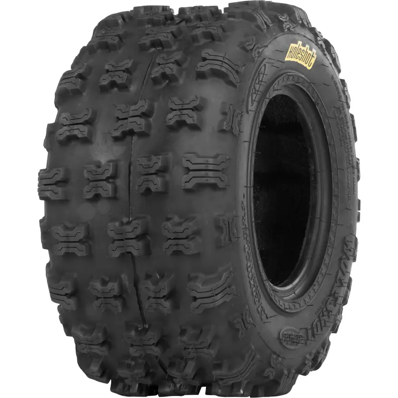 HOLESHOT GNCC REAR 20X10-9 LR300 BIAS