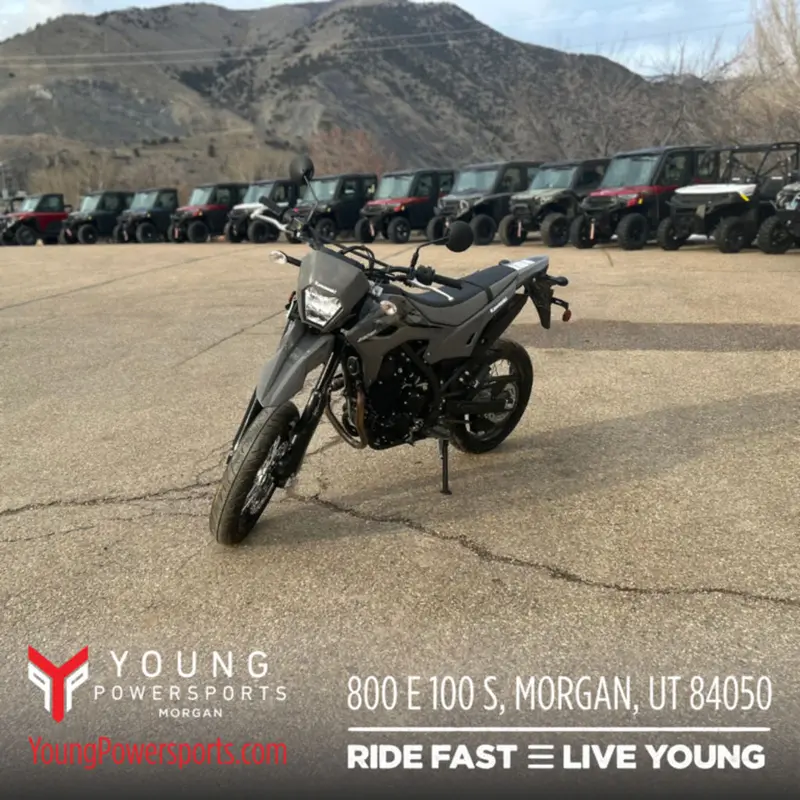 New 2024 Kawasaki KLX230SM ABS